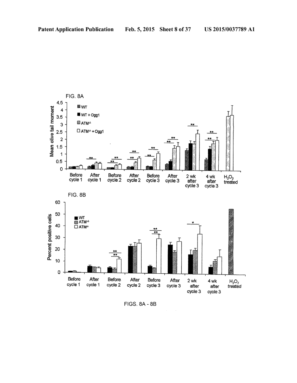 SYSTEMIC GENOTOXICITY AS BLOOD MARKER FOR ALLERGIC INFLAMMATION - diagram, schematic, and image 09