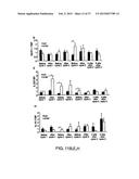 SYSTEMIC GENOTOXICITY AS BLOOD MARKER FOR ALLERGIC INFLAMMATION diagram and image