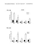 SYSTEMIC GENOTOXICITY AS BLOOD MARKER FOR ALLERGIC INFLAMMATION diagram and image