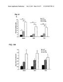 SYSTEMIC GENOTOXICITY AS BLOOD MARKER FOR ALLERGIC INFLAMMATION diagram and image