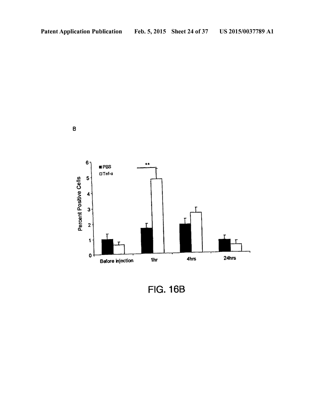 SYSTEMIC GENOTOXICITY AS BLOOD MARKER FOR ALLERGIC INFLAMMATION - diagram, schematic, and image 25