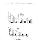 SYSTEMIC GENOTOXICITY AS BLOOD MARKER FOR ALLERGIC INFLAMMATION diagram and image