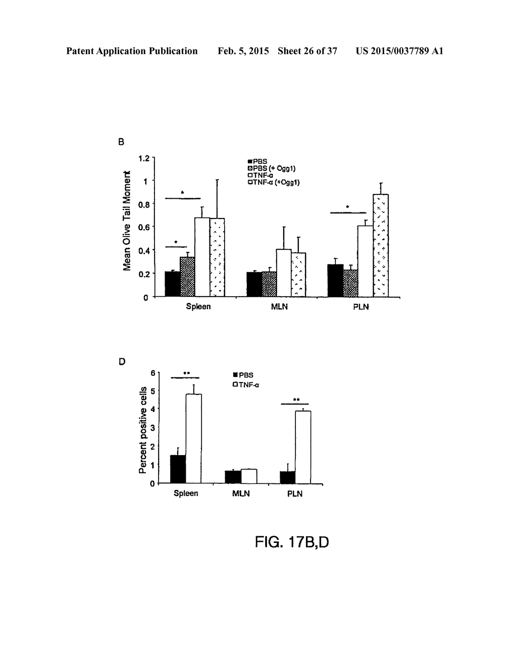 SYSTEMIC GENOTOXICITY AS BLOOD MARKER FOR ALLERGIC INFLAMMATION - diagram, schematic, and image 27