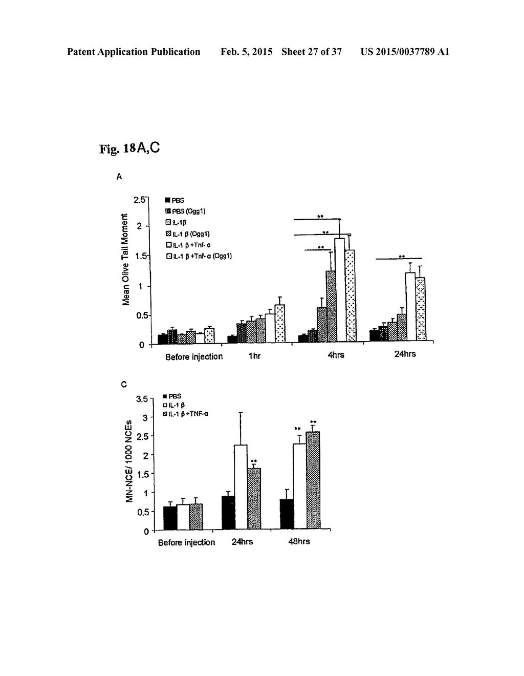 SYSTEMIC GENOTOXICITY AS BLOOD MARKER FOR ALLERGIC INFLAMMATION - diagram, schematic, and image 28