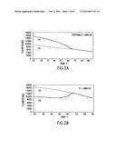 PRIMERS AND METHODS FOR THE DETECTION AND DISCRIMINATION OF NUCLEIC ACIDS diagram and image