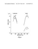 PRIMERS AND METHODS FOR THE DETECTION AND DISCRIMINATION OF NUCLEIC ACIDS diagram and image