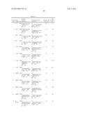 PRIMERS AND METHODS FOR THE DETECTION AND DISCRIMINATION OF NUCLEIC ACIDS diagram and image