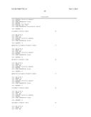 PRIMERS AND METHODS FOR THE DETECTION AND DISCRIMINATION OF NUCLEIC ACIDS diagram and image