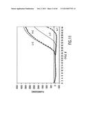 PRIMERS AND METHODS FOR THE DETECTION AND DISCRIMINATION OF NUCLEIC ACIDS diagram and image