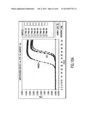 PRIMERS AND METHODS FOR THE DETECTION AND DISCRIMINATION OF NUCLEIC ACIDS diagram and image