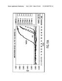 PRIMERS AND METHODS FOR THE DETECTION AND DISCRIMINATION OF NUCLEIC ACIDS diagram and image