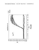 PRIMERS AND METHODS FOR THE DETECTION AND DISCRIMINATION OF NUCLEIC ACIDS diagram and image