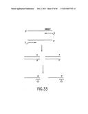 PRIMERS AND METHODS FOR THE DETECTION AND DISCRIMINATION OF NUCLEIC ACIDS diagram and image