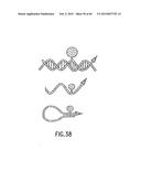 PRIMERS AND METHODS FOR THE DETECTION AND DISCRIMINATION OF NUCLEIC ACIDS diagram and image