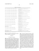 PRIMERS AND METHODS FOR THE DETECTION AND DISCRIMINATION OF NUCLEIC ACIDS diagram and image