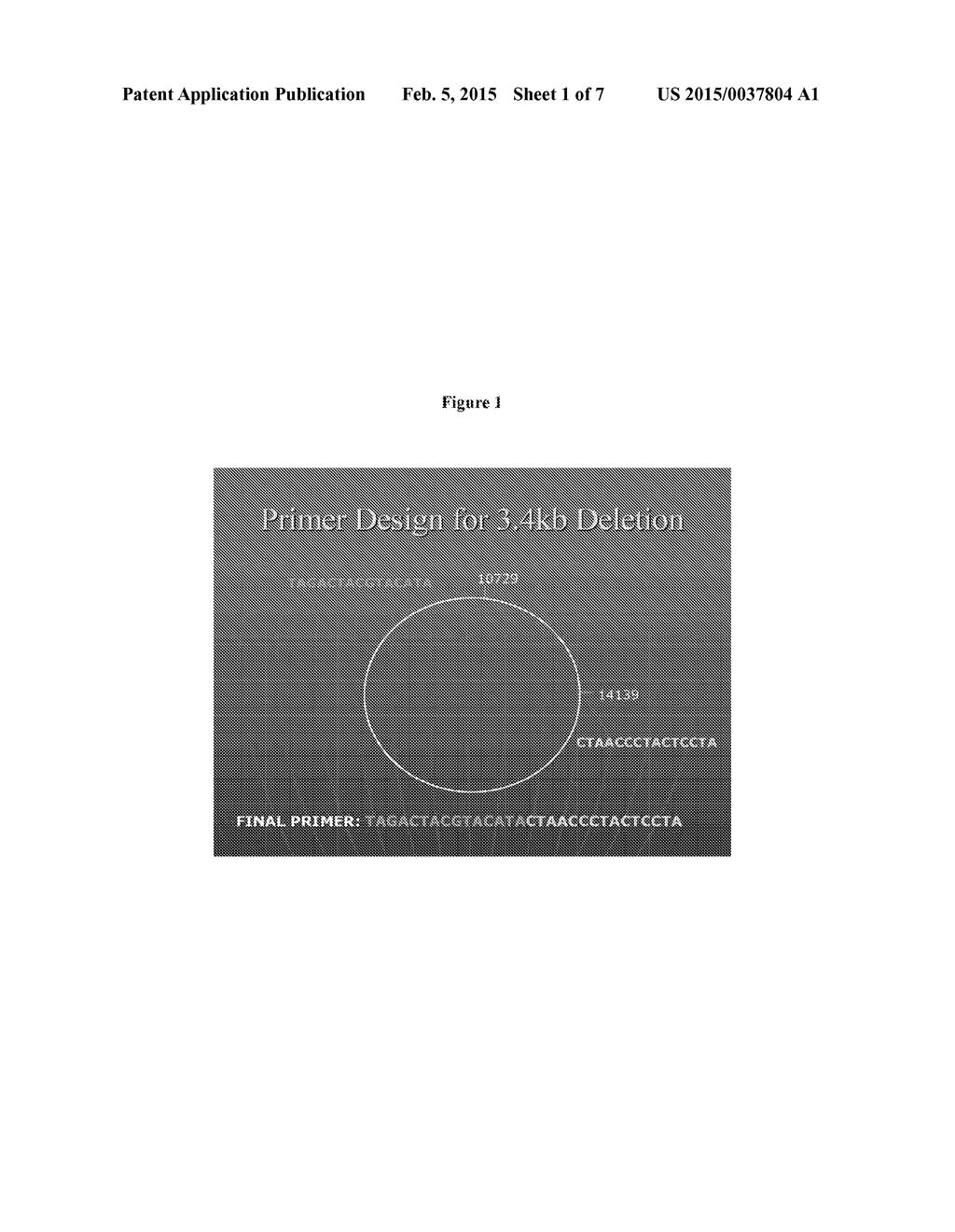 3.4 KB MITOCHONDRIAL DNA DELETION FOR USE IN THE DETECTION OF CANCER - diagram, schematic, and image 02