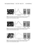 IRON OXIDE-GOLD CORE-SHELL NANOPARTICLES AND USES THEREOF diagram and image