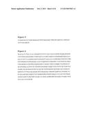 BIOMARKER FOR OSTEOARTHRITIS AND/OR OTHER AGEING-RELATED DISEASES, AND USE     THEREOF diagram and image