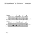 MODIFIED BACTERIAL CELL diagram and image