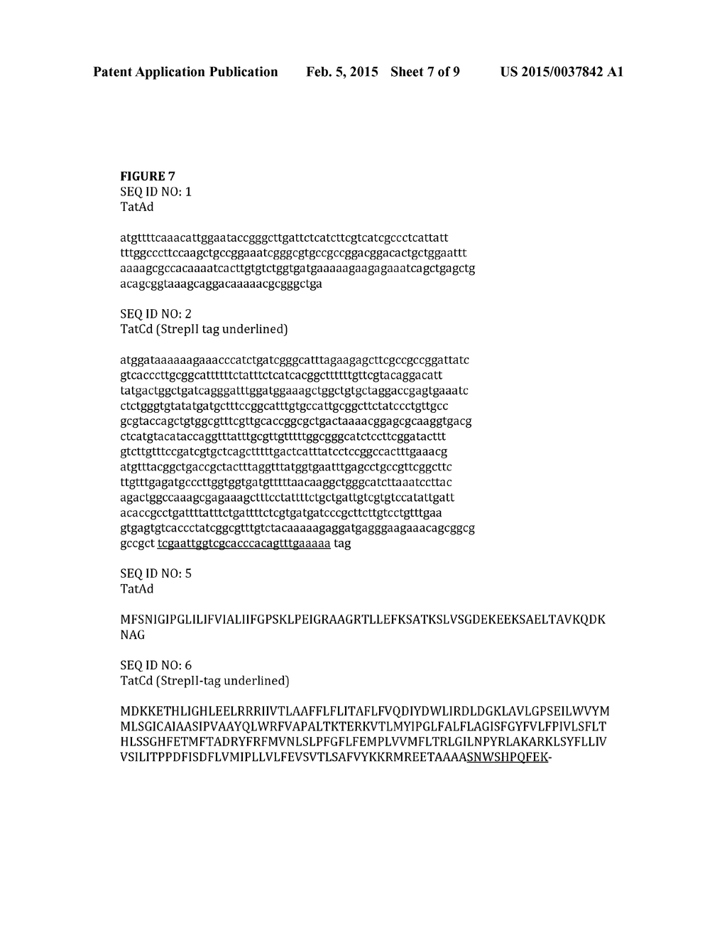 MODIFIED BACTERIAL CELL - diagram, schematic, and image 08