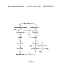 Methods and Systems for Chemoautotrophic Production of Organic Compounds diagram and image