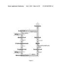 Methods and Systems for Chemoautotrophic Production of Organic Compounds diagram and image