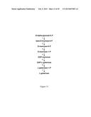 Methods and Systems for Chemoautotrophic Production of Organic Compounds diagram and image