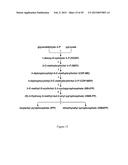 Methods and Systems for Chemoautotrophic Production of Organic Compounds diagram and image