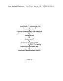 Methods and Systems for Chemoautotrophic Production of Organic Compounds diagram and image