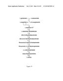 Methods and Systems for Chemoautotrophic Production of Organic Compounds diagram and image