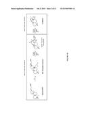 DITERPENE SYNTHASES AND METHOD FOR PRODUCING DITERPENOIDS diagram and image