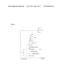 DITERPENE SYNTHASES AND METHOD FOR PRODUCING DITERPENOIDS diagram and image