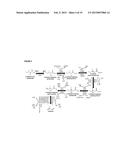 METHODS FOR BIOSYNTHESIS OF ISOPRENE diagram and image