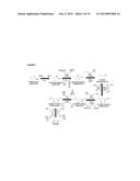 METHODS FOR BIOSYNTHESIS OF ISOPRENE diagram and image