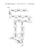 METHODS FOR BIOSYNTHESIS OF ISOPRENE diagram and image