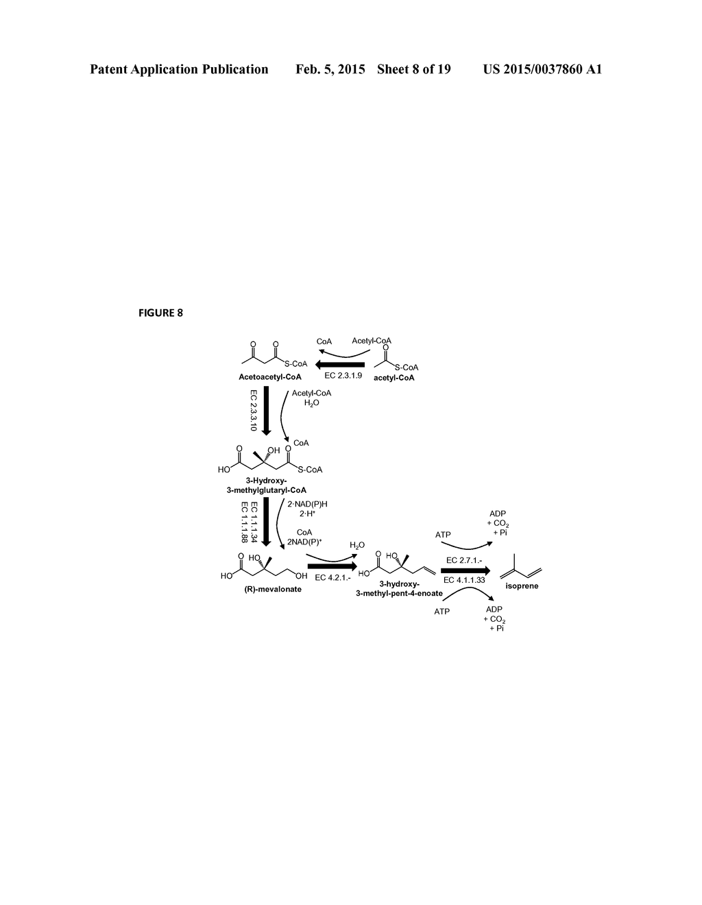 METHODS FOR BIOSYNTHESIS OF ISOPRENE - diagram, schematic, and image 09