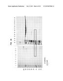 Composition, Method and Kit for Obtaining Purified Recombinant Proteins diagram and image