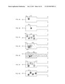 Methods and Apparatus for Transplantation of Nucleic Acid Molecules diagram and image