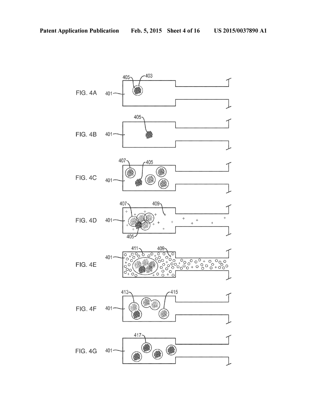 Methods and Apparatus for Transplantation of Nucleic Acid Molecules - diagram, schematic, and image 05