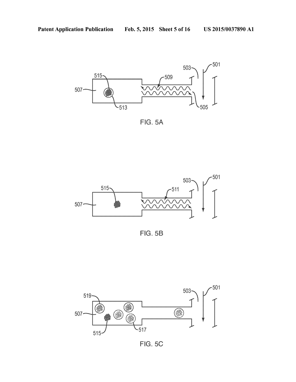 Methods and Apparatus for Transplantation of Nucleic Acid Molecules - diagram, schematic, and image 06