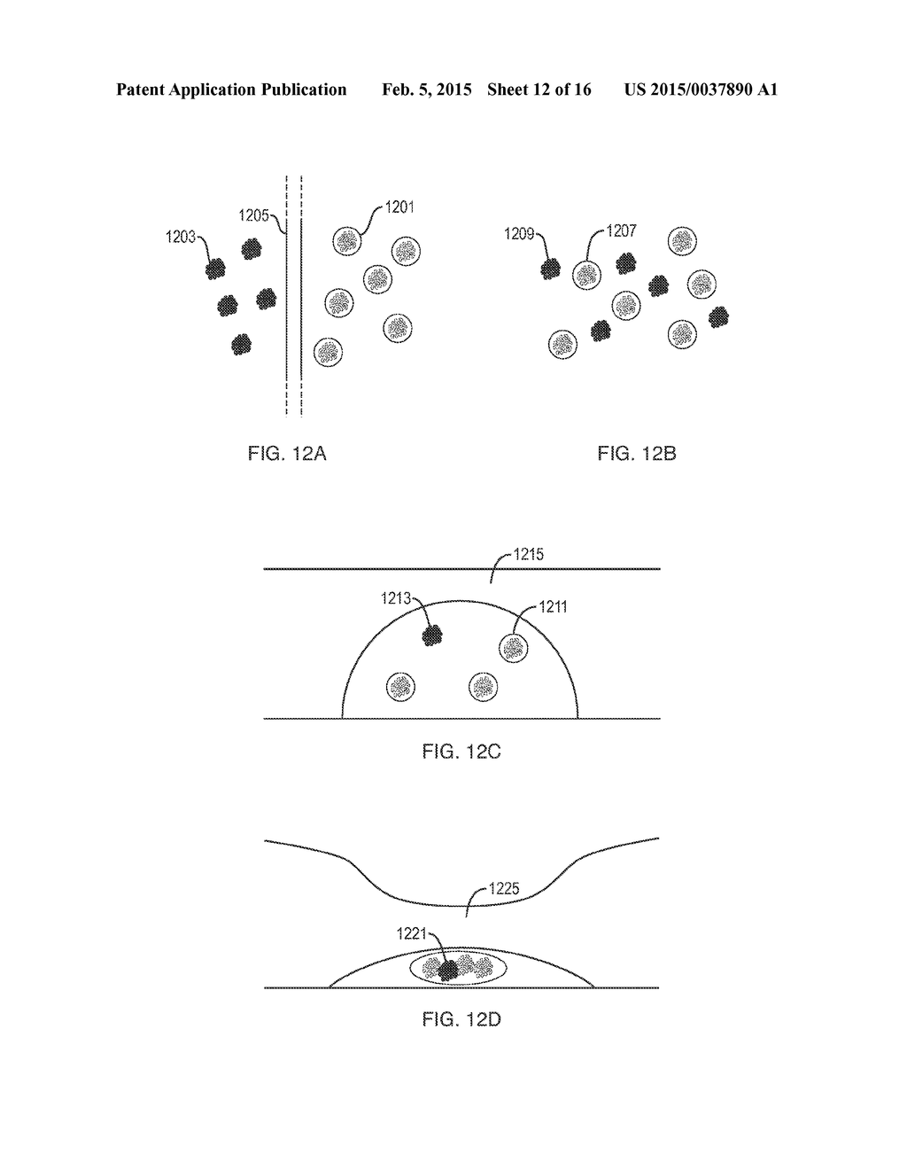 Methods and Apparatus for Transplantation of Nucleic Acid Molecules - diagram, schematic, and image 13