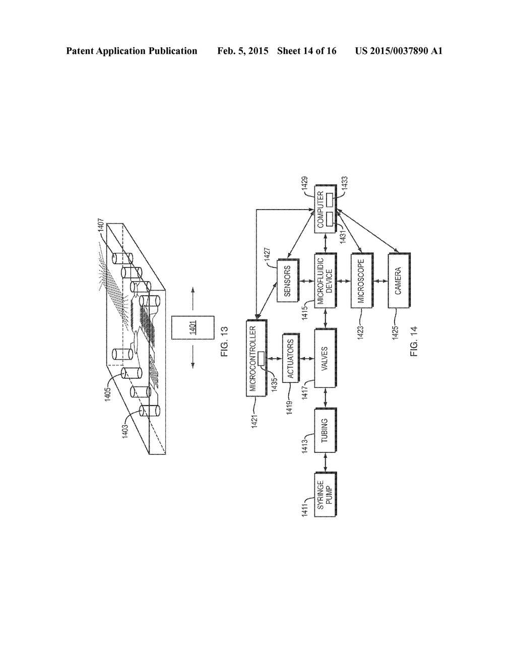 Methods and Apparatus for Transplantation of Nucleic Acid Molecules - diagram, schematic, and image 15