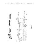 HEPARAN SULFATE/HEPARIN MIMETICS WITH ANTI-CHEMOKINE AND ANTI-INFLAMMATORY     ACTIVITY diagram and image