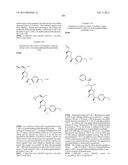 SYK INHIBITORS diagram and image