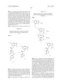 SYK INHIBITORS diagram and image