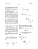 SYK INHIBITORS diagram and image