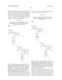 SYK INHIBITORS diagram and image