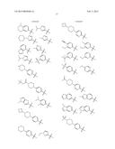 SYK INHIBITORS diagram and image