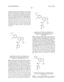 SYK INHIBITORS diagram and image