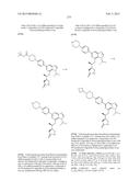 SYK INHIBITORS diagram and image